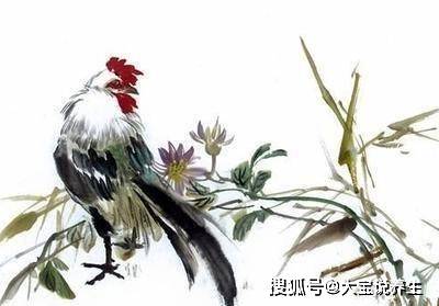 饱经风霜打一正确生肖,警惕虚假宣传落实,时代解答解释落实